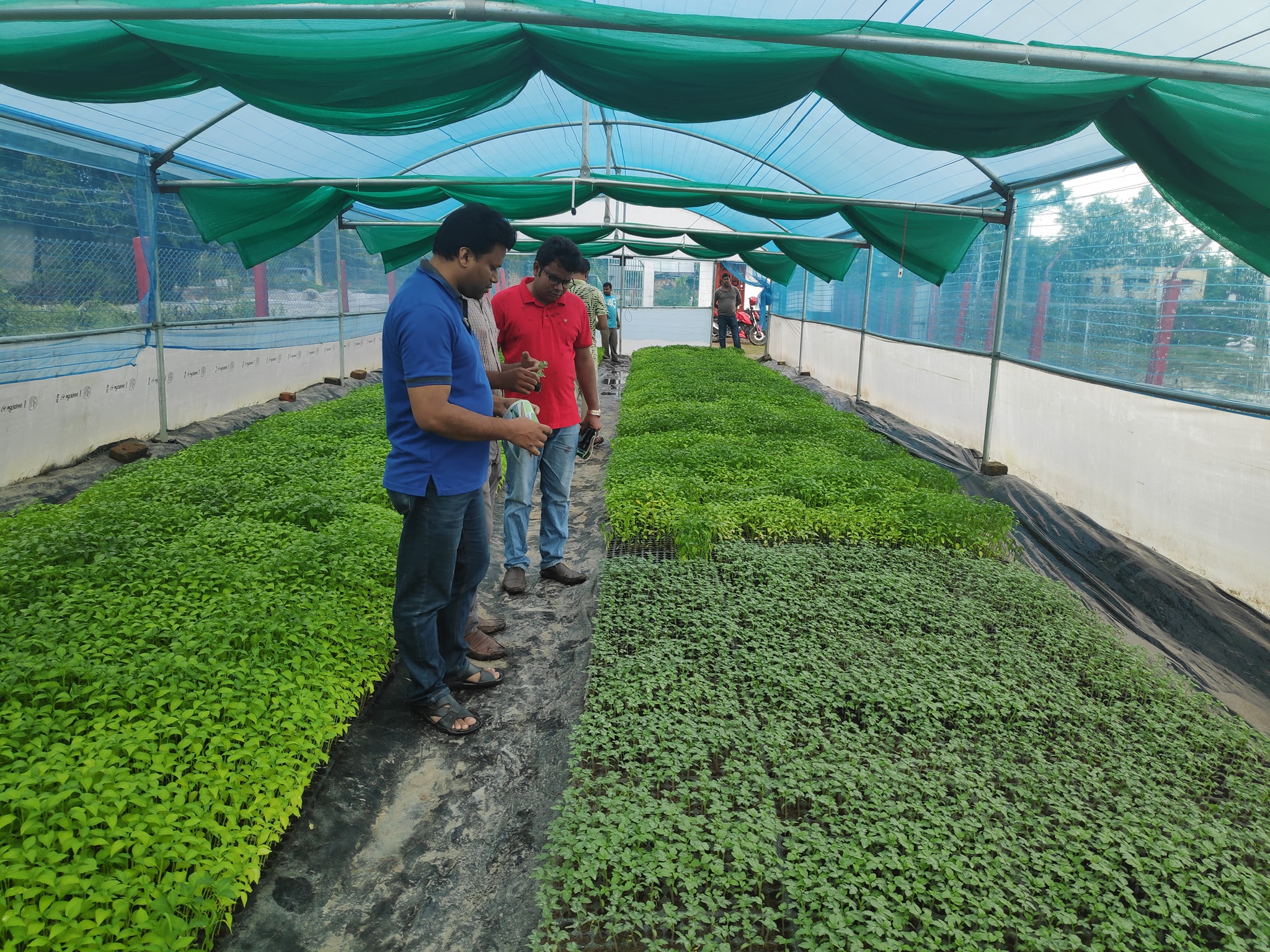 কৃষিতে আধুনিকতা