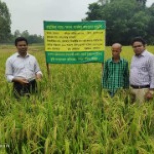 প্রদর্শনী পরিদর্শন